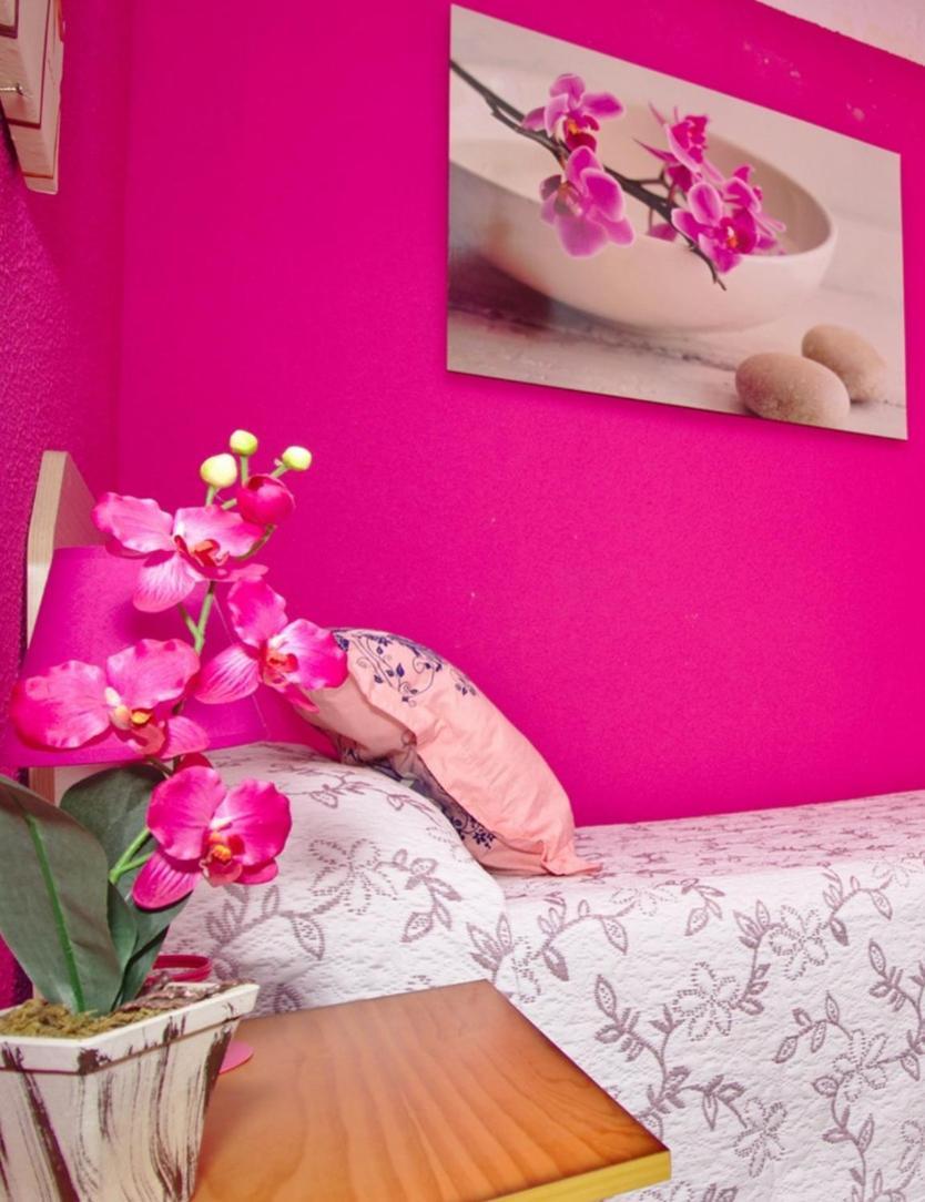 Magic Apartament - لقنت المظهر الخارجي الصورة