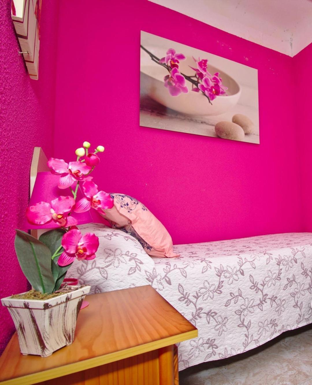 Magic Apartament - لقنت المظهر الخارجي الصورة